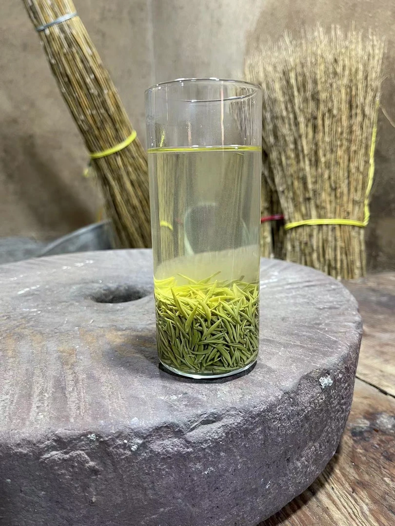 2024信阳毛尖头采新茶明前小米芽