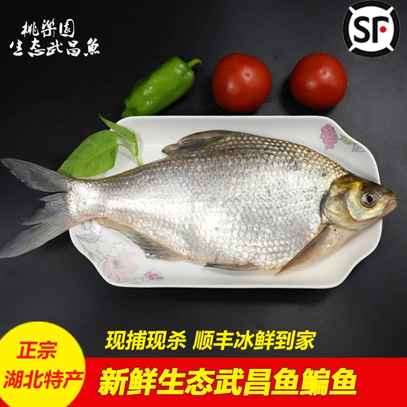 武昌鱼原生态鱼新鲜湖北特产冷冻顺丰包邮真空装鲜活现杀草鳊鳊鱼