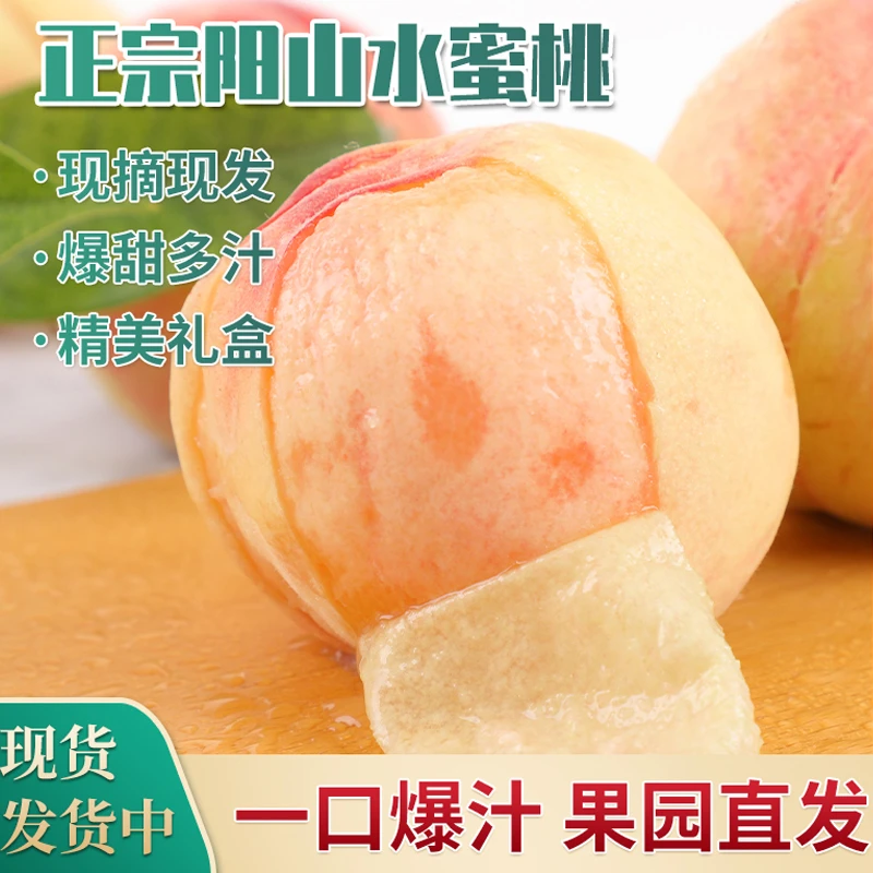 【桃爸爸 5-6两 8枚】无锡正宗阳山水蜜桃果园直发夏日尝鲜爆汁