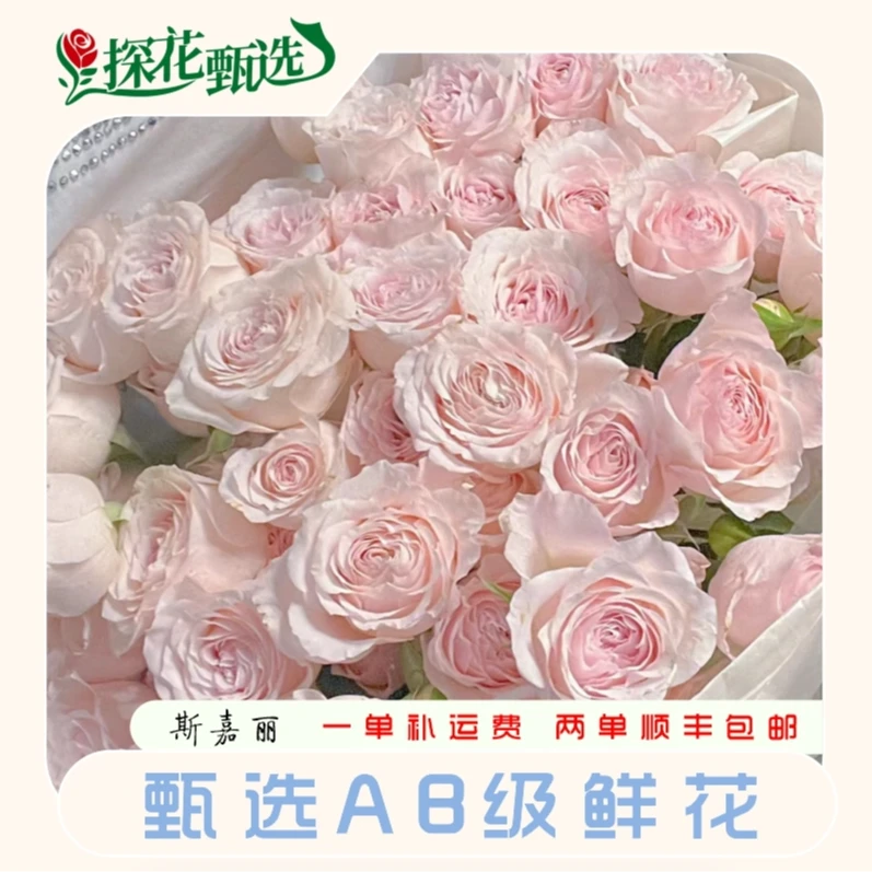 斯嘉丽A级 多头玫瑰 云南直发 店内购满两单起发 顺丰