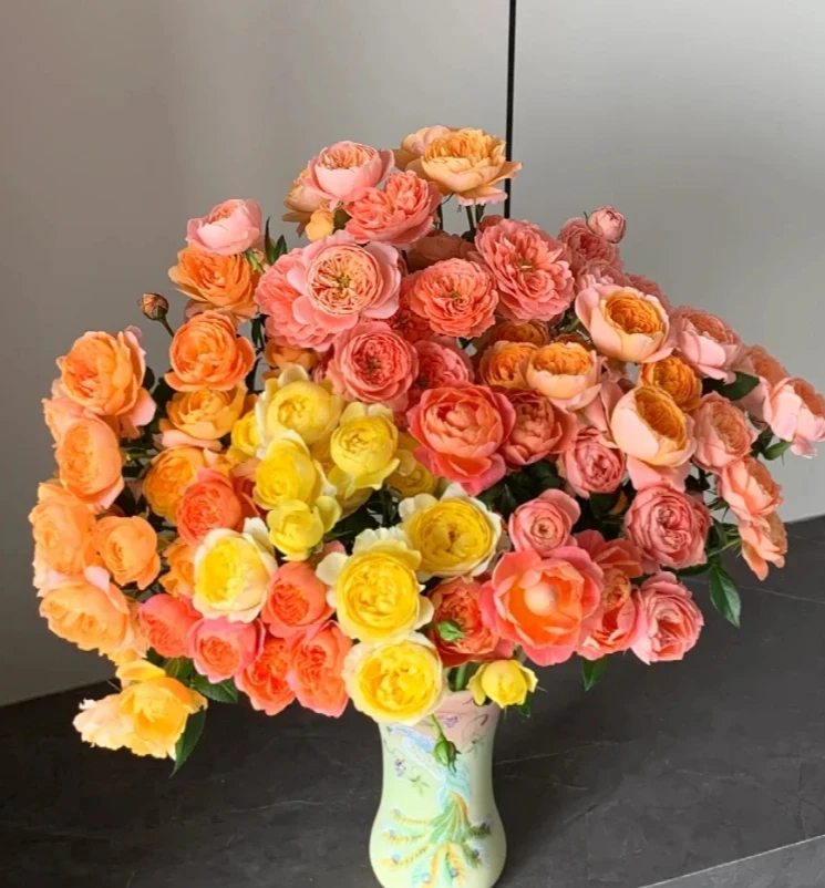 【探花甄选】混色果汁组合  云南网购鲜花 一单包邮 直播