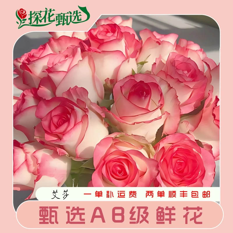 【探花甄选】艾莎玫瑰  云南基地直发  两单顺丰治愈 卖