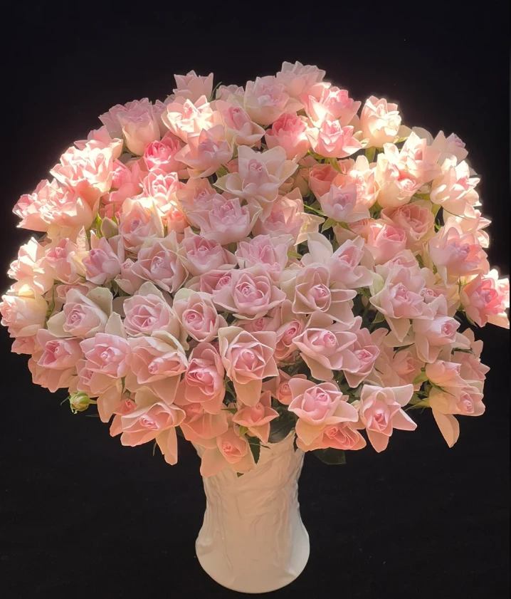【探花甄选】莲花玫瑰玫瑰 稀有玫瑰 云南基地直发 两单
