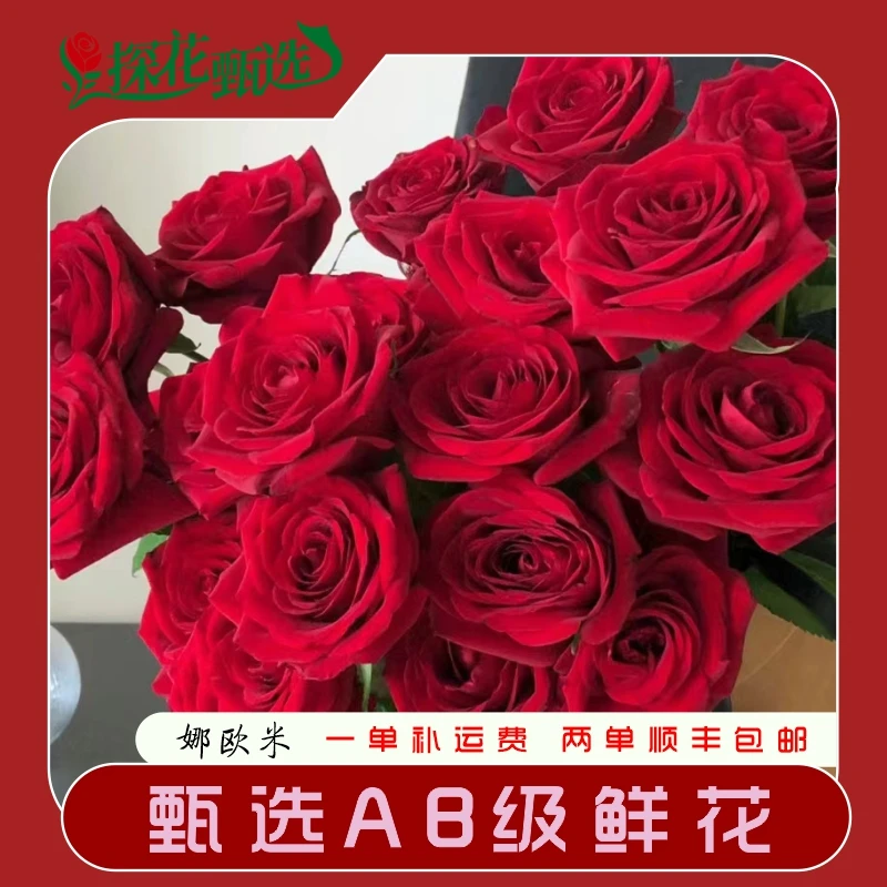 纳欧米 A级 单头玫瑰 云南基地直发 两单起发 顺丰冷治