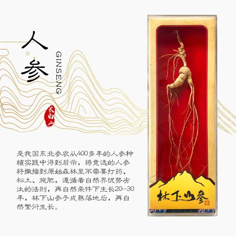 【林下参】长白山林下参十年山参东北特产煲汤泡酒滋补养生
