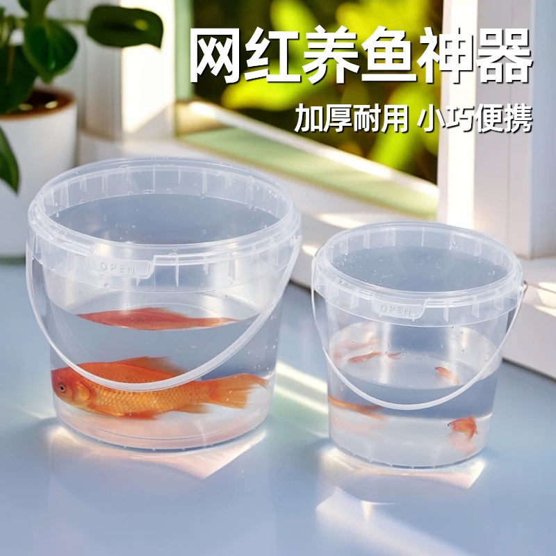 开学季透明养鱼桶塑料小水桶金鱼缸便携式儿童观赏鱼带孔透气桶