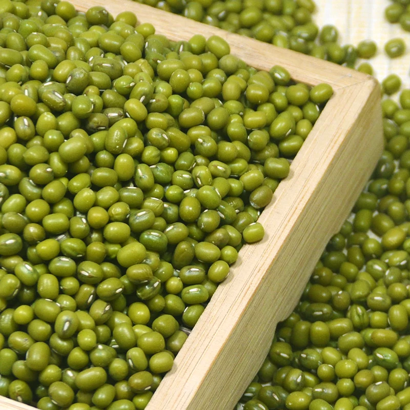 东北农家自产绿豆新鲜货5斤小五谷杂粮煮粥发豆芽专用散装