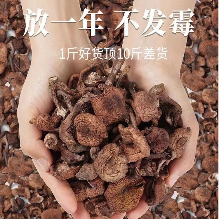 新货东北特产榛蘑丁干货黑龙江深山 山货 山珍菌蘑菇钉500g包邮