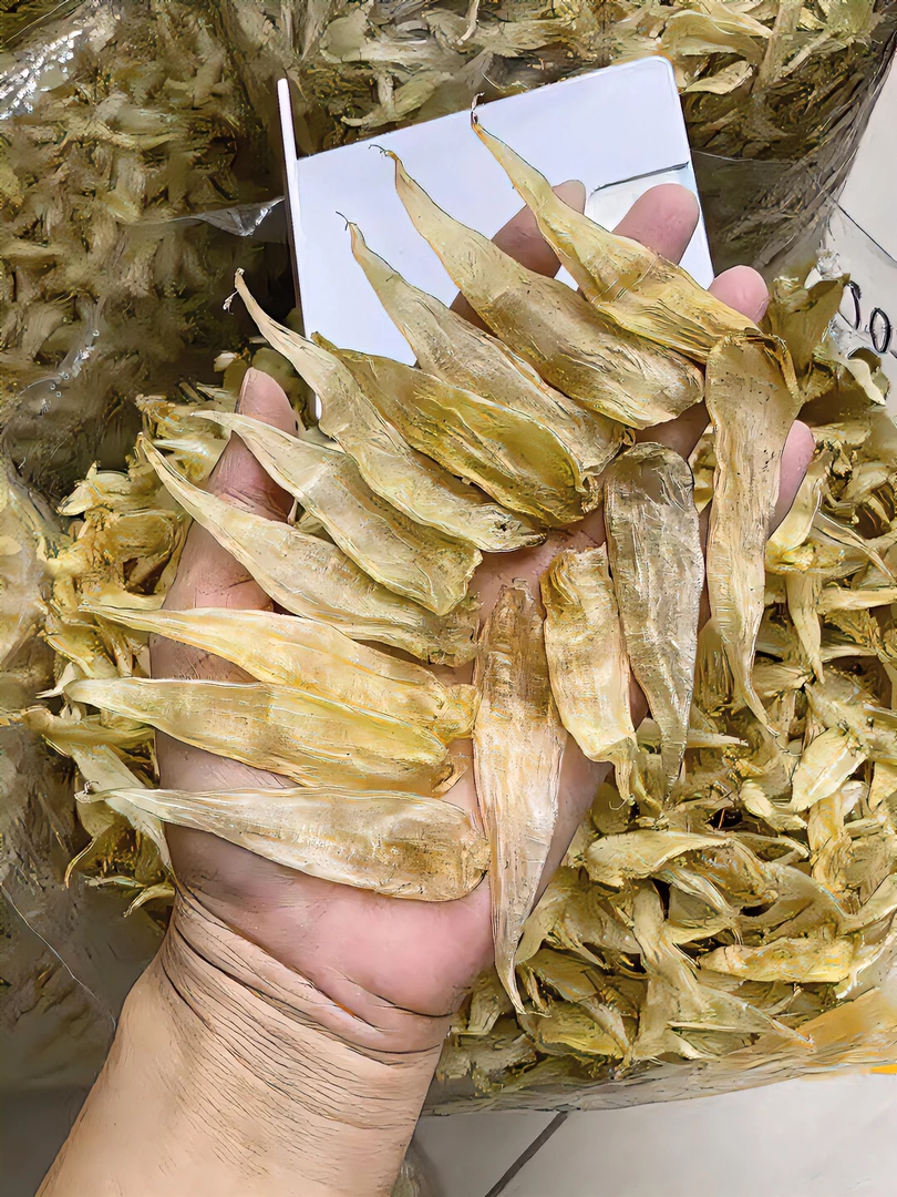 400头 精选豆仁胶
