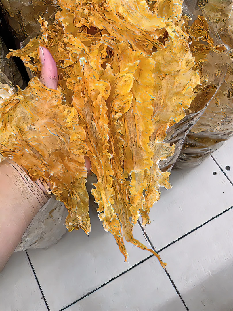 55头 清水鳕鱼胶