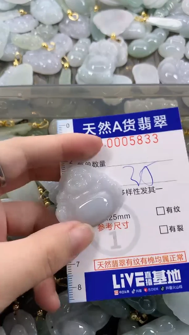 颈饰未镶嵌翡翠天然A货翡翠