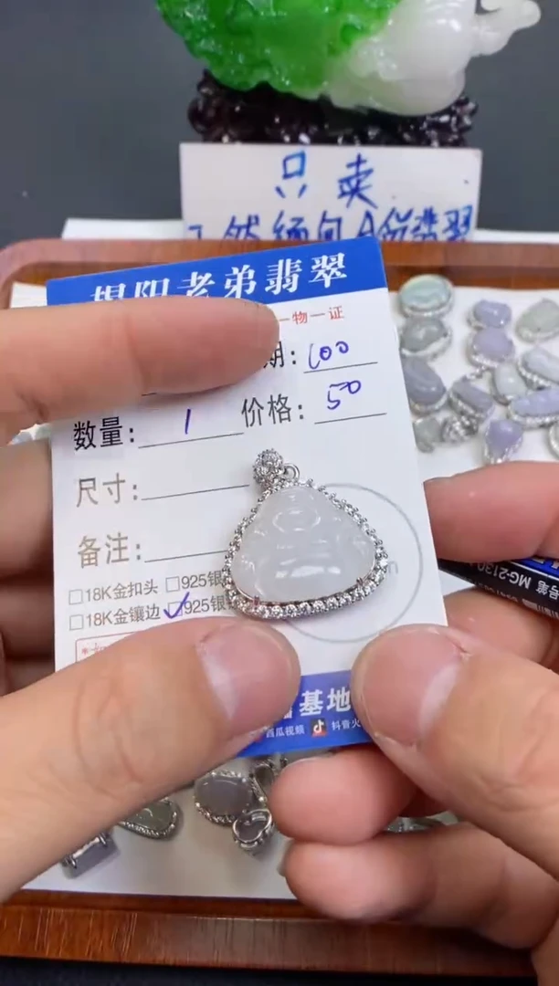 【闪购商品】翡翠颈饰银S925镶嵌多样性发其中一件