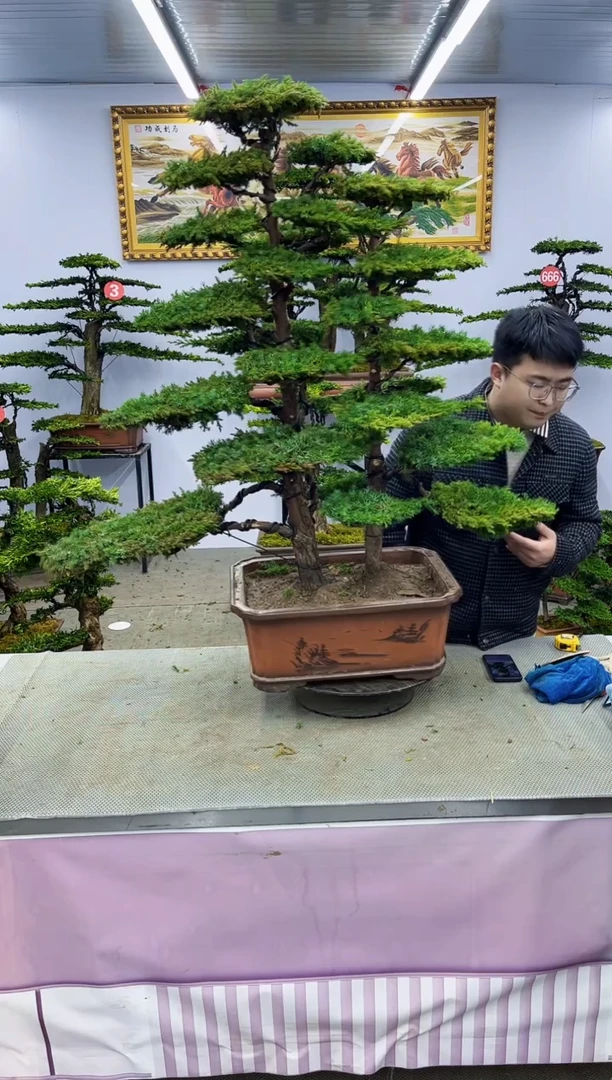 【闪购商品】000000000000000