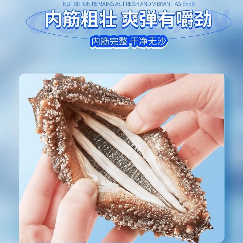 【头茬春参】高品质鲜蒸海参 口感筋道 营养滋补 2斤送一斤 到手3斤