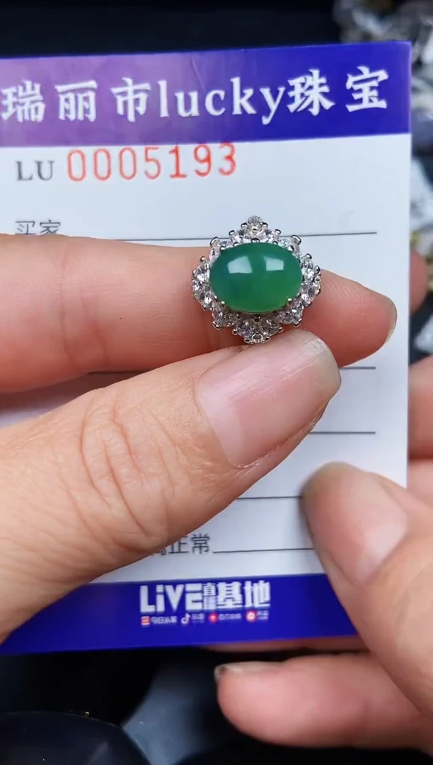 翡翠银S925镶嵌颈饰5193