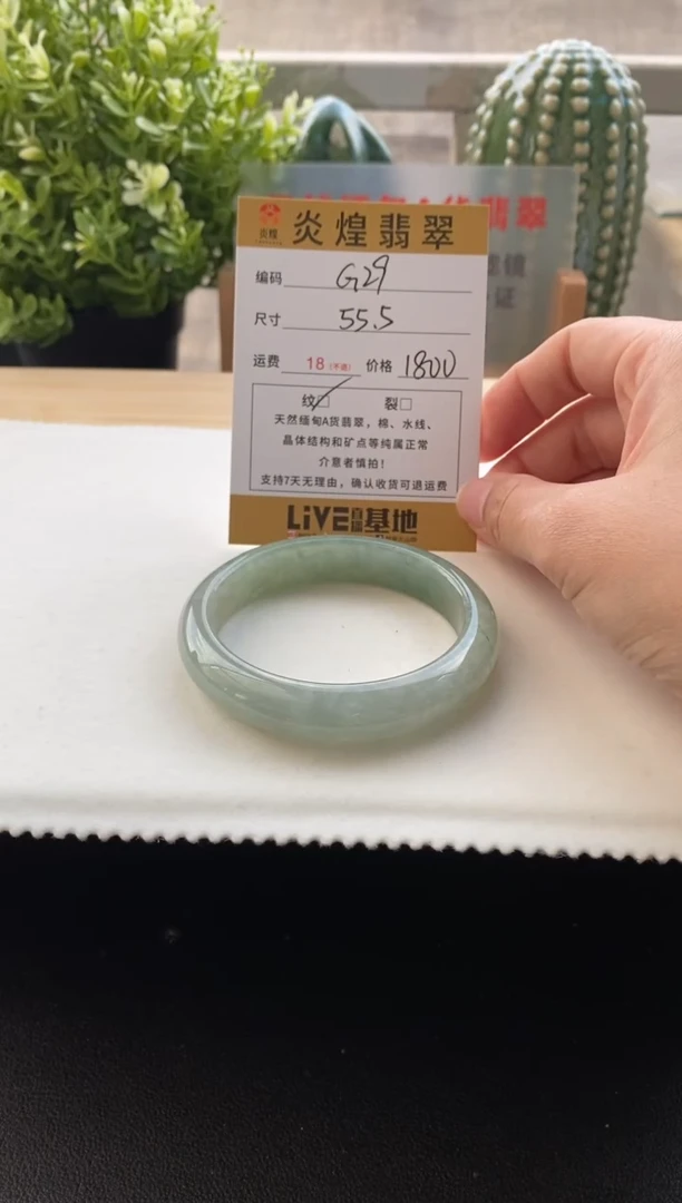 未镶嵌手镯翡翠55.2圈口编码G29