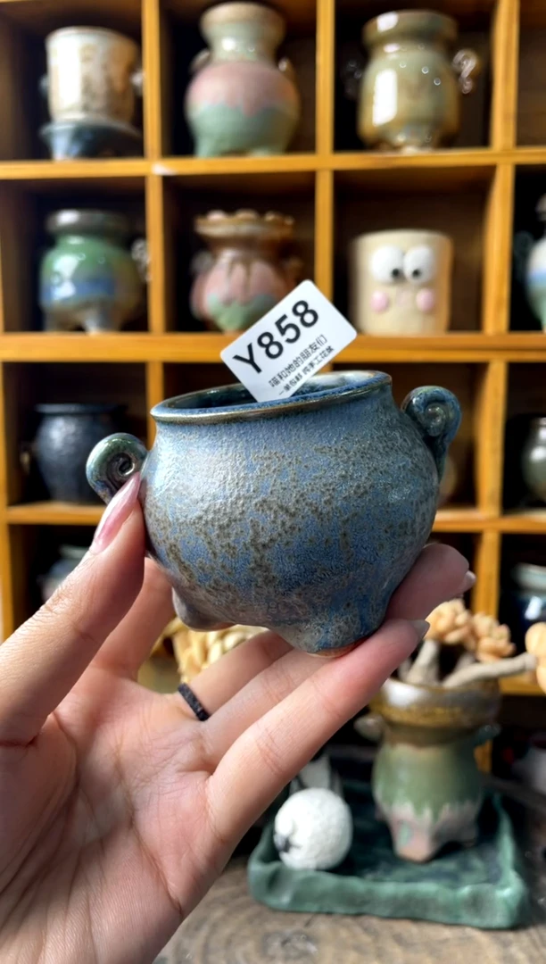 858【多肉花盆多肉盆】