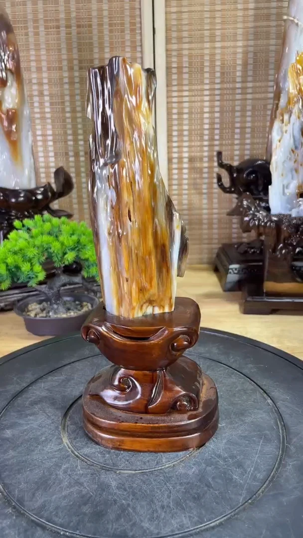 硅化玉珠宝奇石未镶嵌230