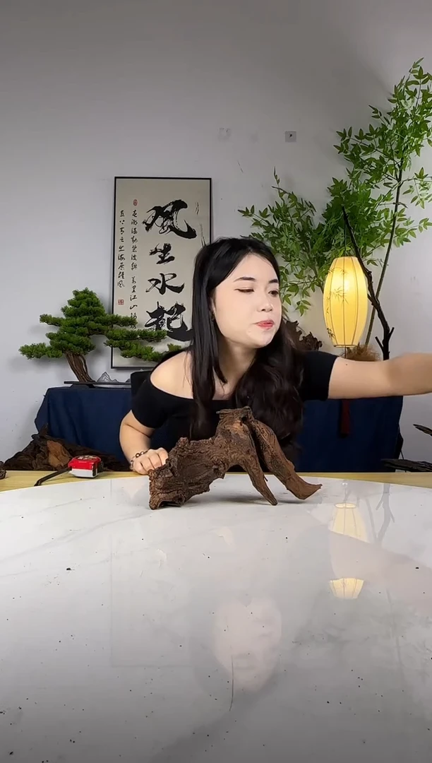 彩**南拍这个定向编号100