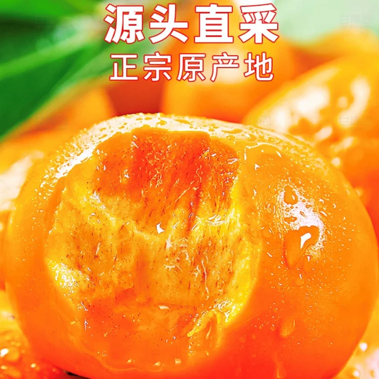 【25年新果】新鲜采摘巧克力脆甜柿子阳丰脆甜柿子现摘现发4.5斤