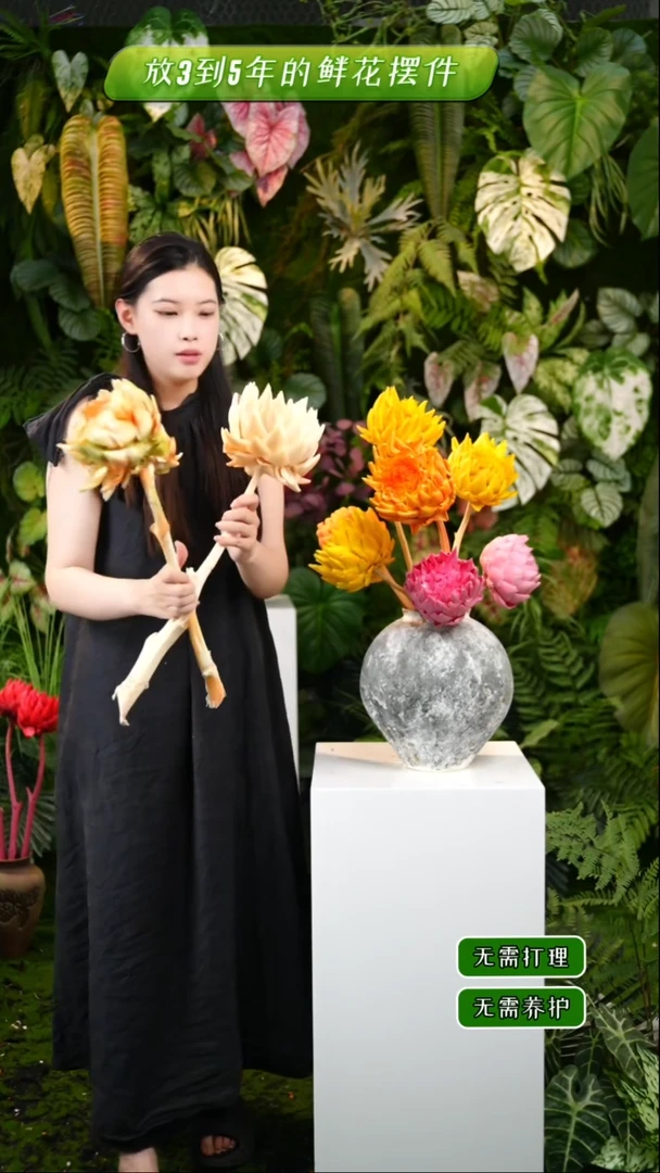 永生花洋蓟曼塔和莫吉托11