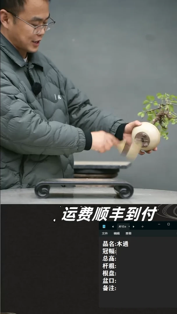 【闪购商品】12  木通