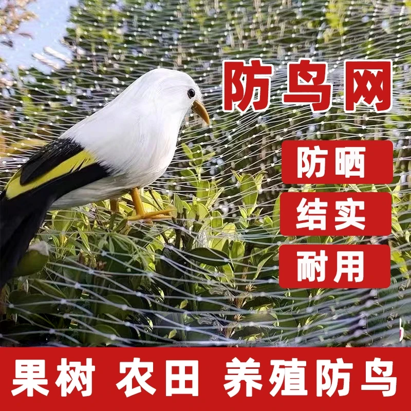 果树防鸟网樱桃葡萄果树果园阳台鸟用网防鸟罩养殖鱼塘防护网