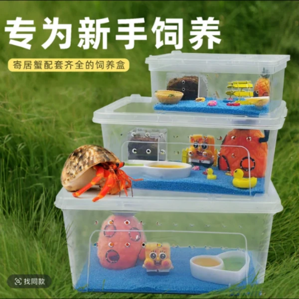 寄居蟹爬宠新手套餐饲养盒 饲养用品 桌面宠物儿童礼物相守蟹套装