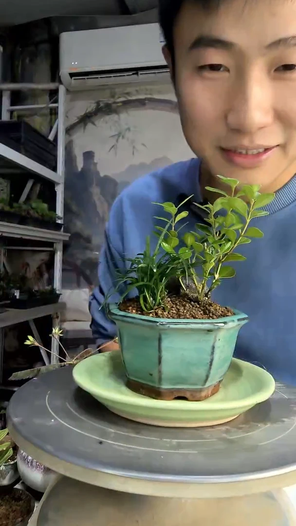 王**i中青园艺一物一拍407