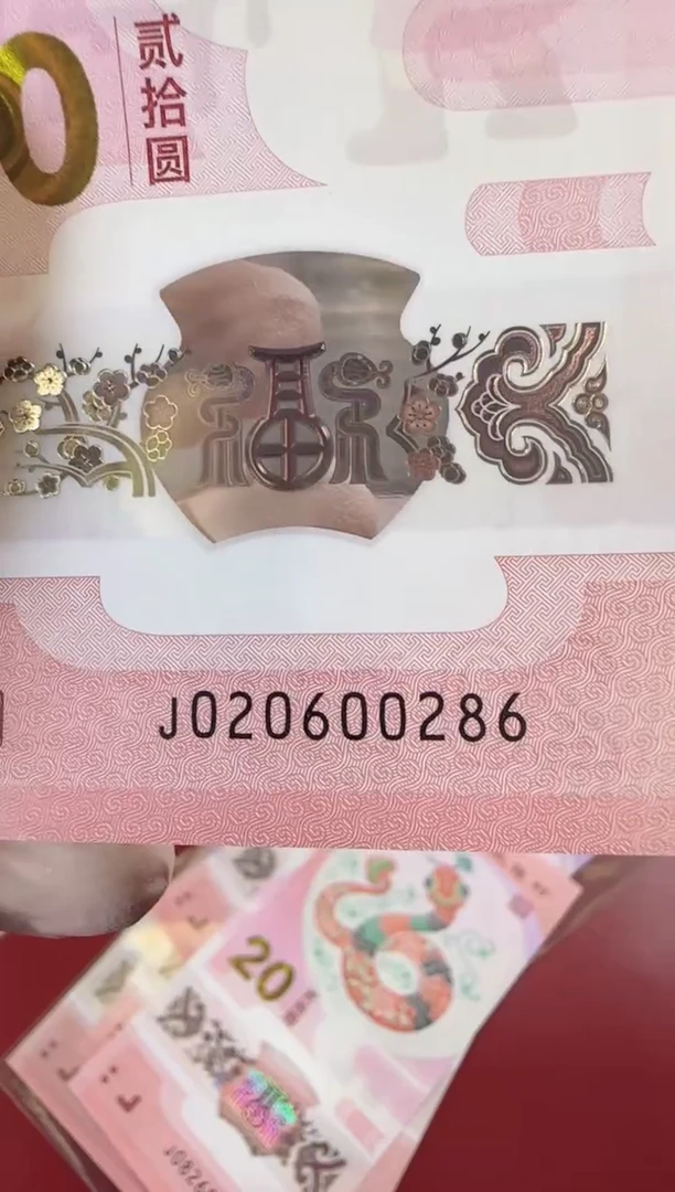 【闪购商品】塑料2025蛇钞单张裸020600286