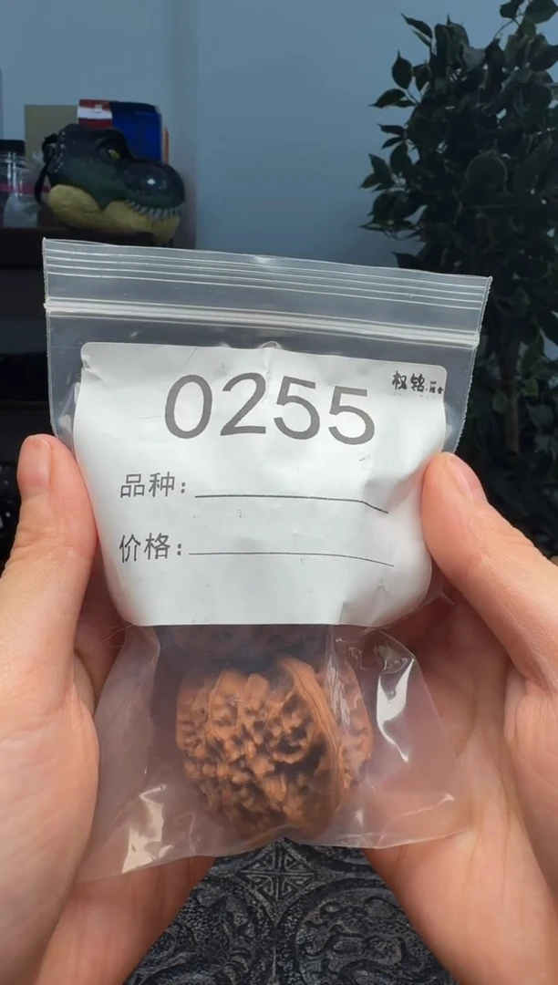 把件文玩核桃0255聚宝盆40