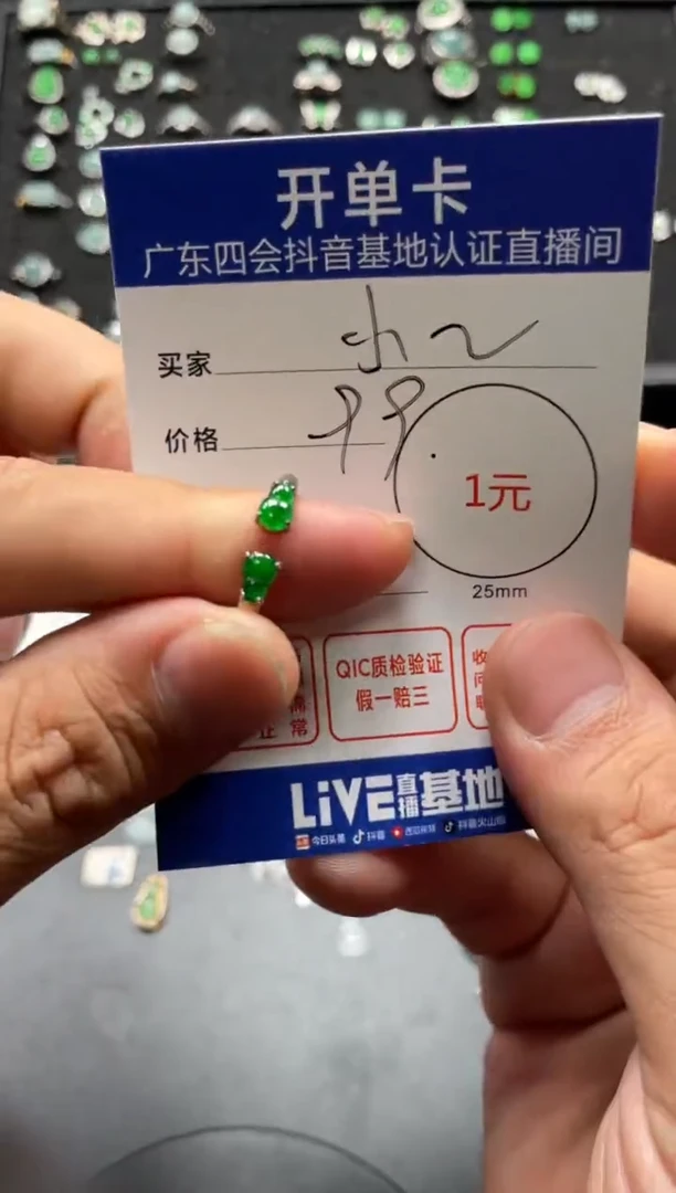 颈饰未镶嵌翡翠小*斯耳钉