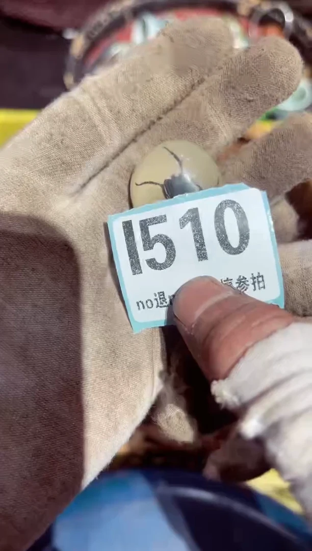 【闪购商品】瓷片瓷片瓷片瓷片瓷片