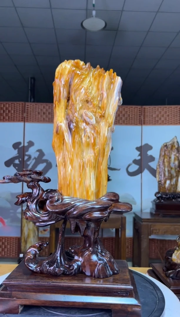 未镶嵌珠宝奇石硅化玉9