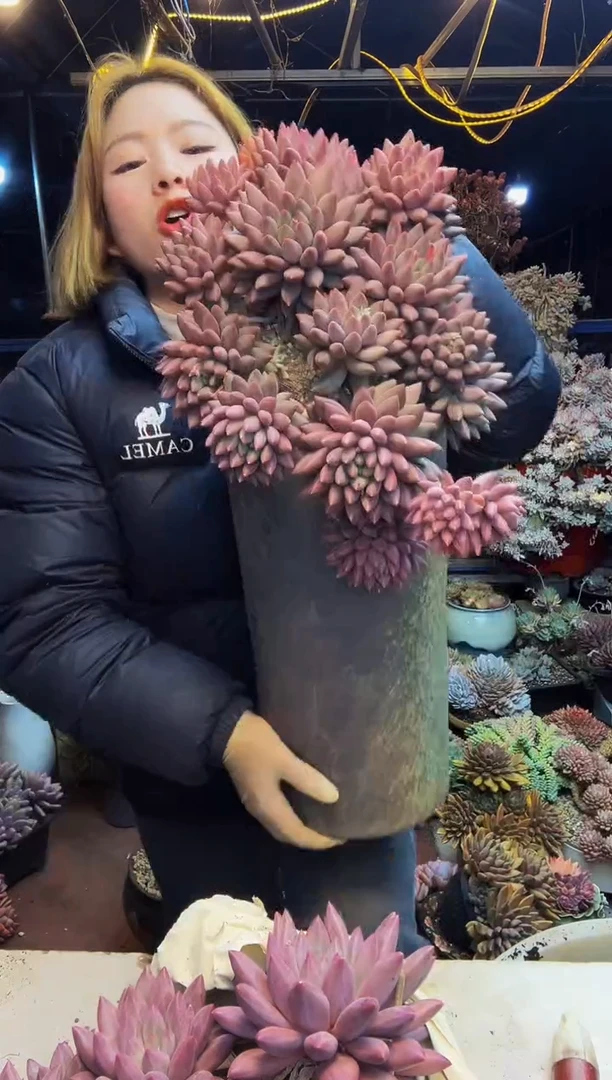 大号虞姬美人脱土包邮