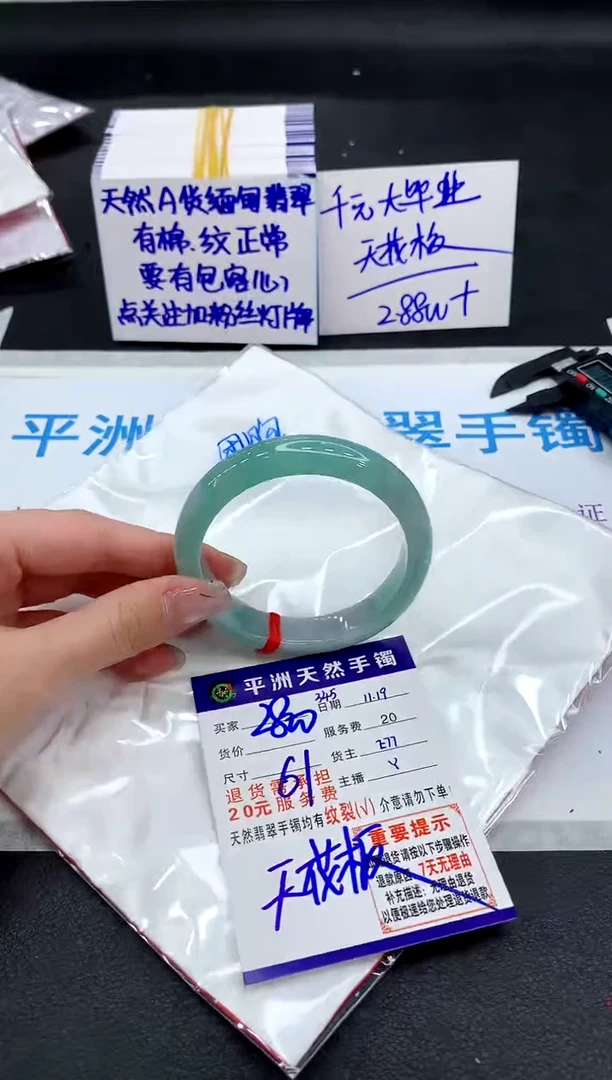 未镶嵌手镯翡翠11111111