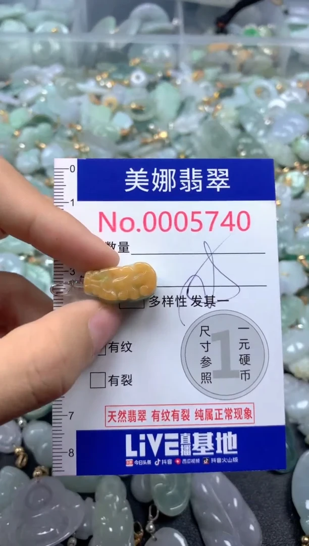 颈饰未镶嵌翡翠5740