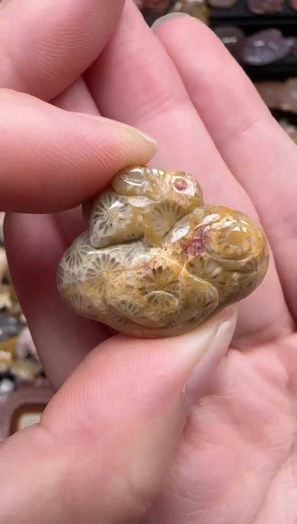 颈饰未镶嵌硅化珊瑚（珊瑚玉）510