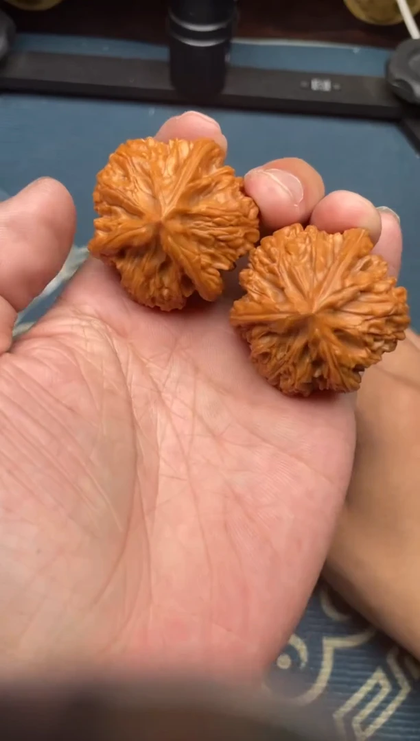 文玩核桃吊坠文山三棱37+