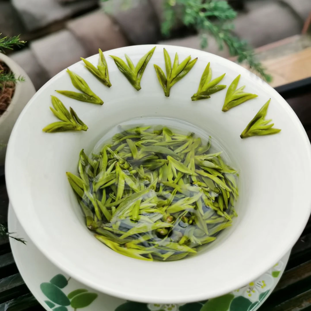 【2025新茶碧螺春】手工嫩芽花果香