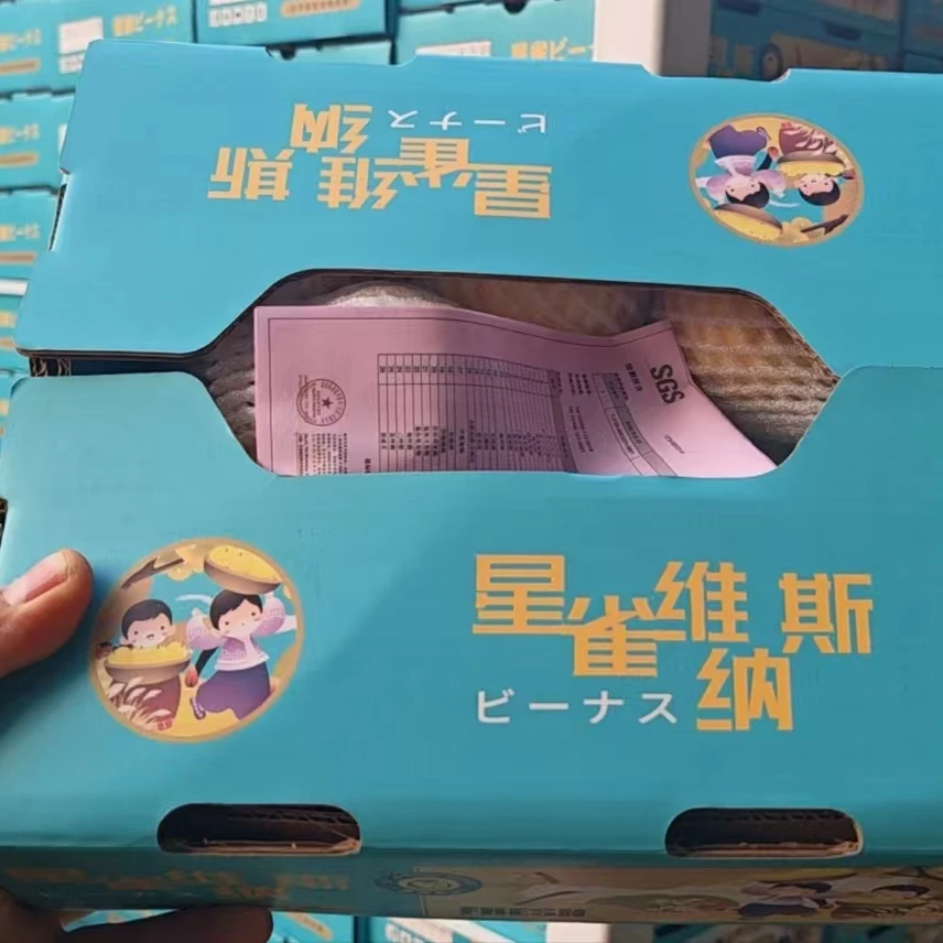 【江浙沪次日达】雀斑维纳斯苹果香气四溢蜜甜爽脆新鲜果肉细腻（11）