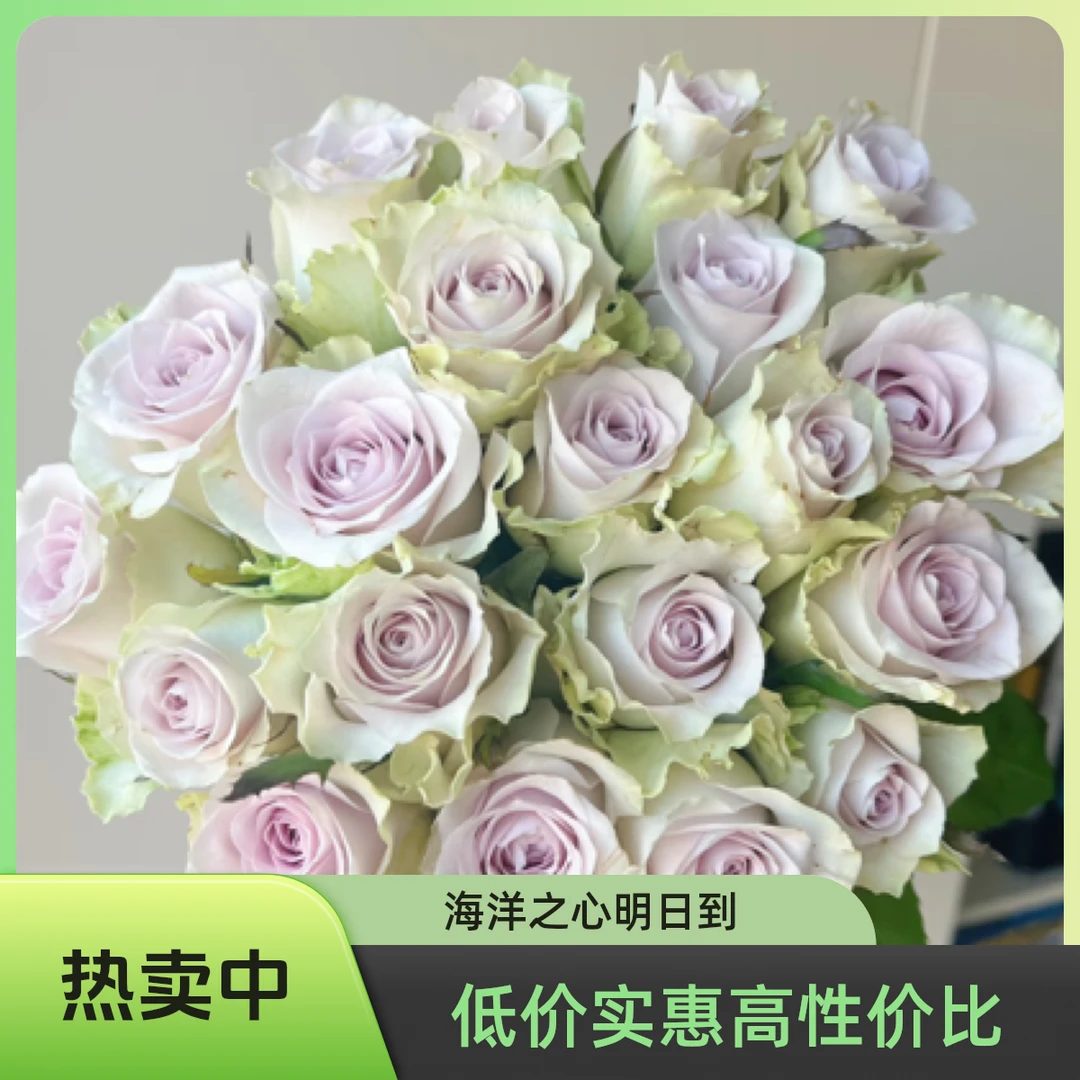 （年货节专场）海洋之心10支29.9，福建广东浙江今天拍明天到。两单顺丰包邮加保鲜剂