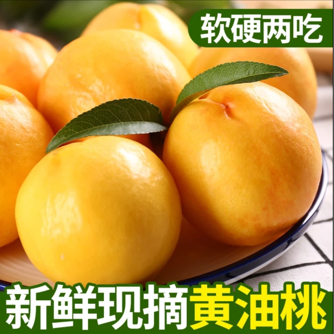 【山东】蒙阴黄金油桃3/4.5斤装现摘现发香甜可口