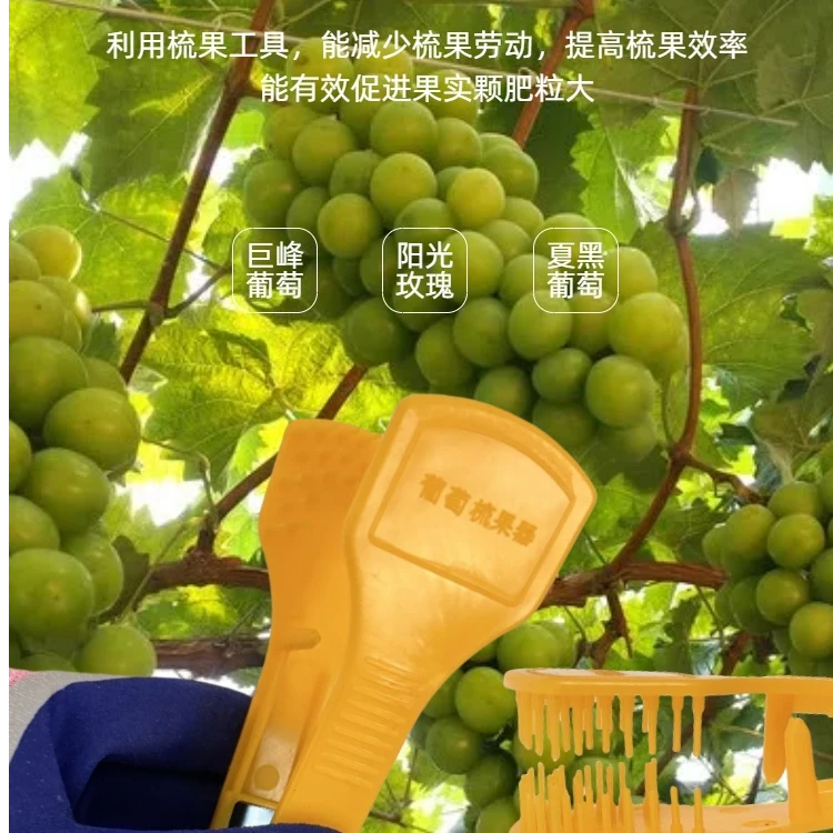 热卖葡萄梳果器梳果神器梳花夹蔬果器梳蕾器新型梳果器专利产品