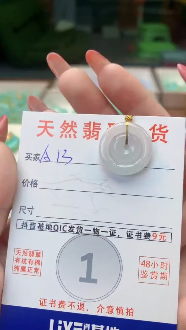 颈饰未镶嵌翡翠天然A货翡翠挂件