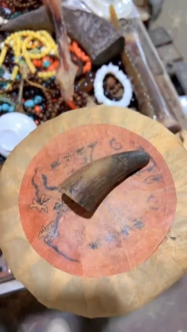 紫砂紫砂紫砂紫砂