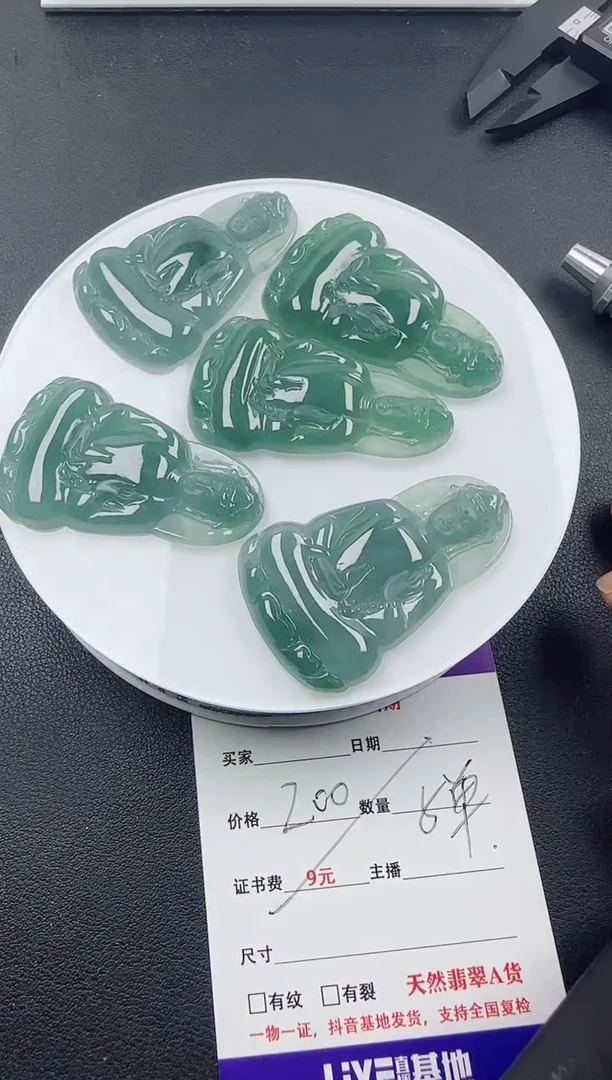 【闪购商品】翡翠颈饰未镶嵌翡翠素衣观音（多样性发其一）