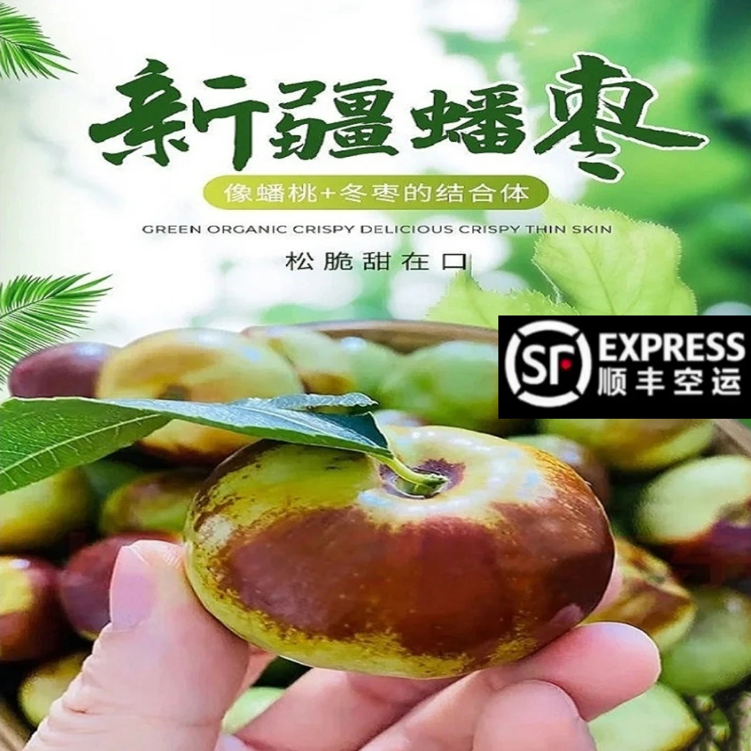 【沙漠蟠枣】正宗新疆沙漠蟠枣鲜枣现摘现发应季新鲜脆甜水果包邮