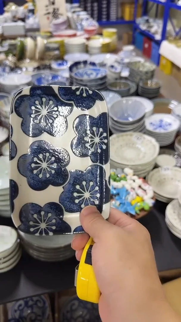 圆形日本进口陶瓷餐具   16.5厘米长盘