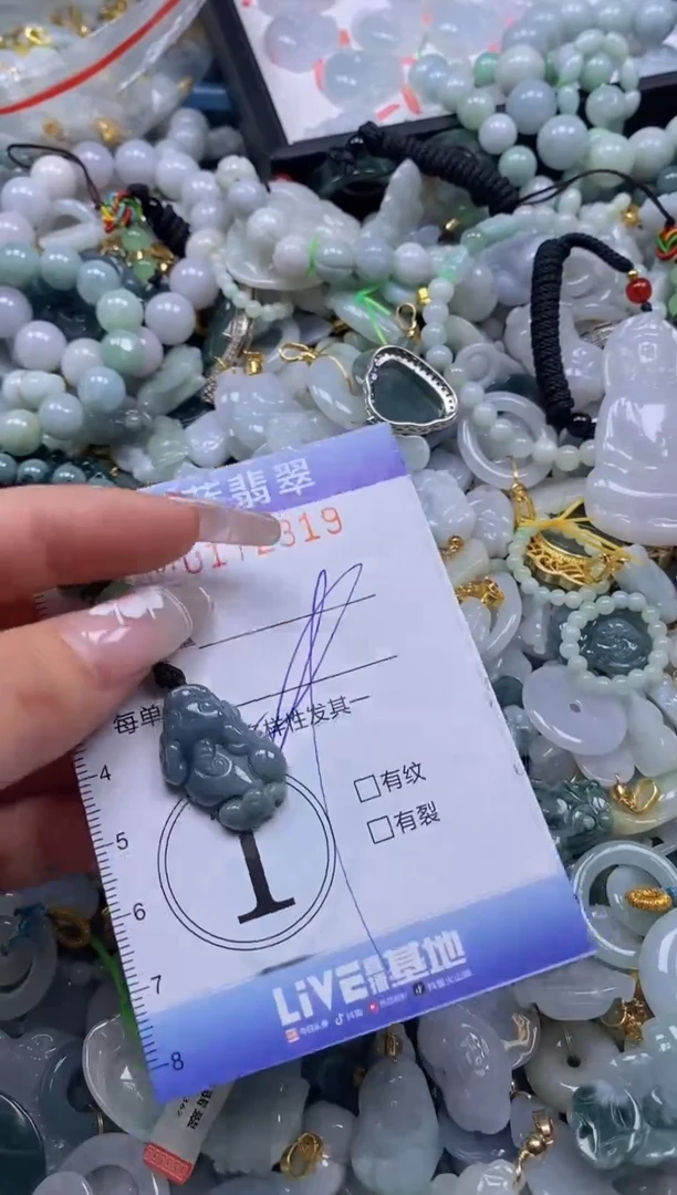 【闪购商品】翡翠颈饰未镶嵌闪购0172319